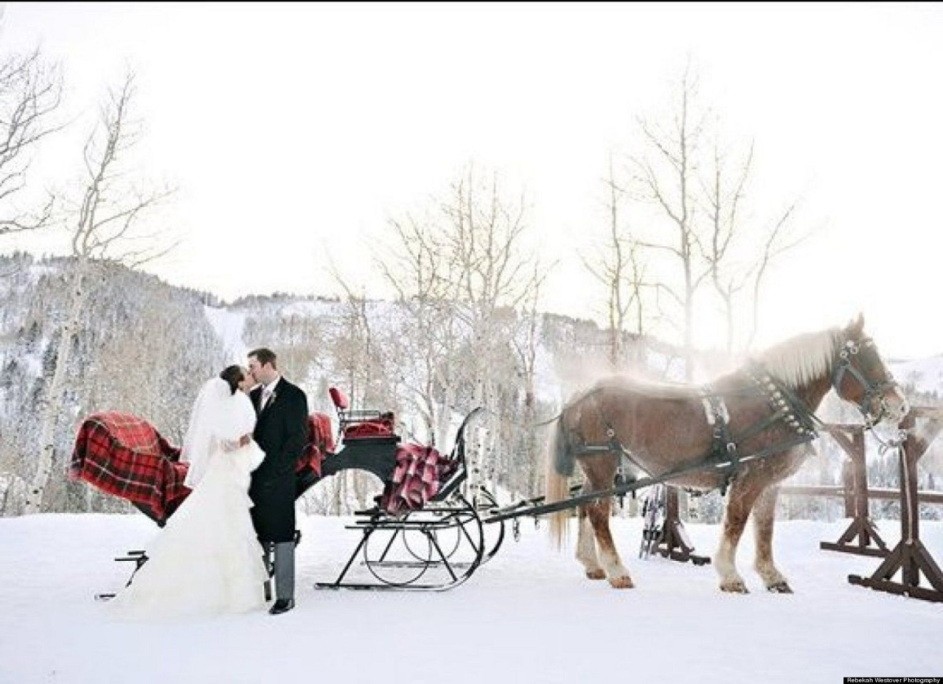 9carrozza
