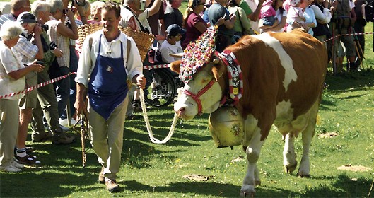 Sposarsi sulle Dolomiti - Val Gardena